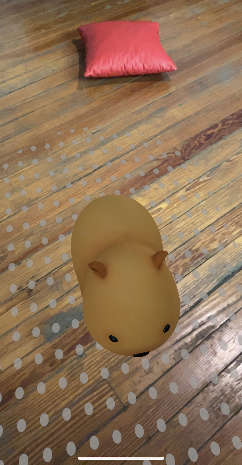 Capybara facing away from red pillow