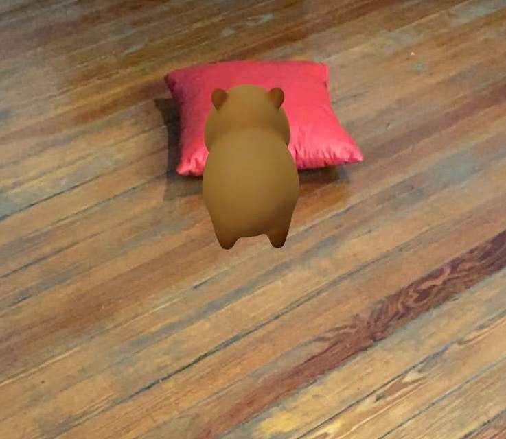 Capybara facing red pillow