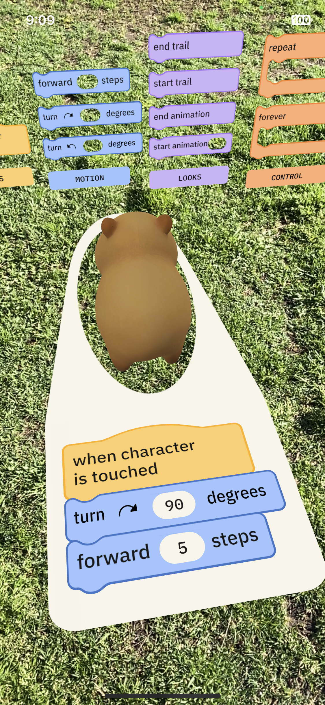 Capybara with forward and Turn right blocks