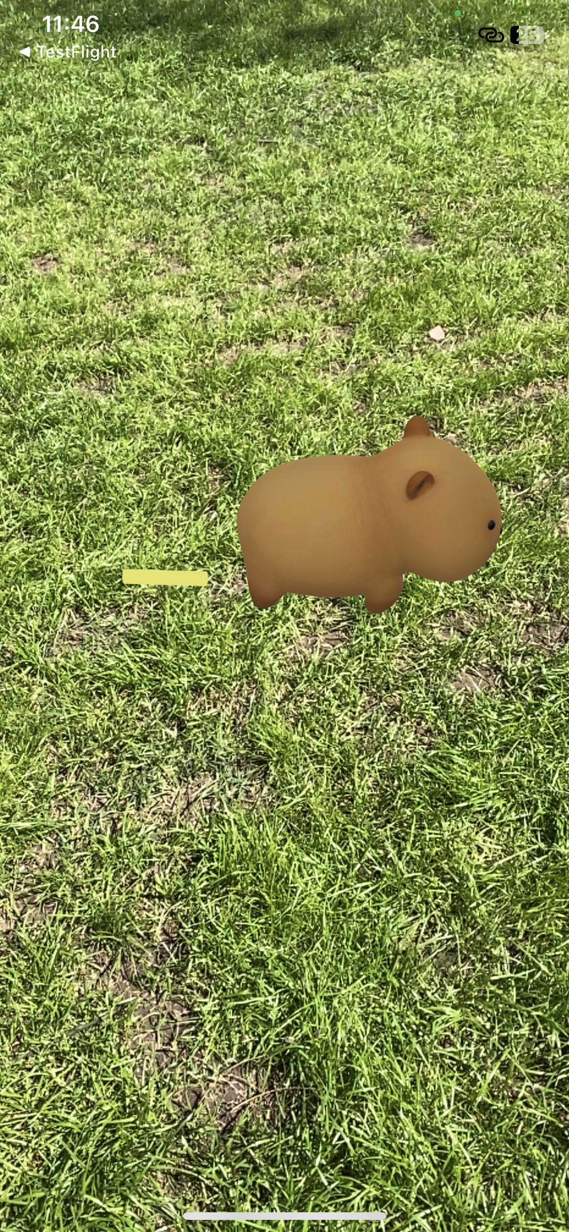 Dot capybara