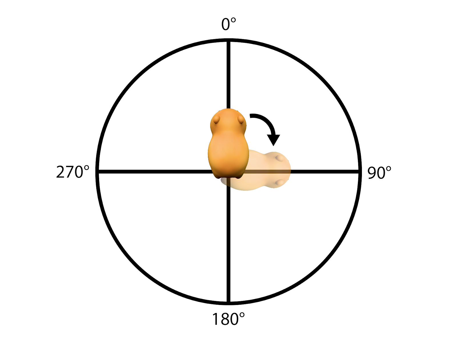 Rotation angles diagram